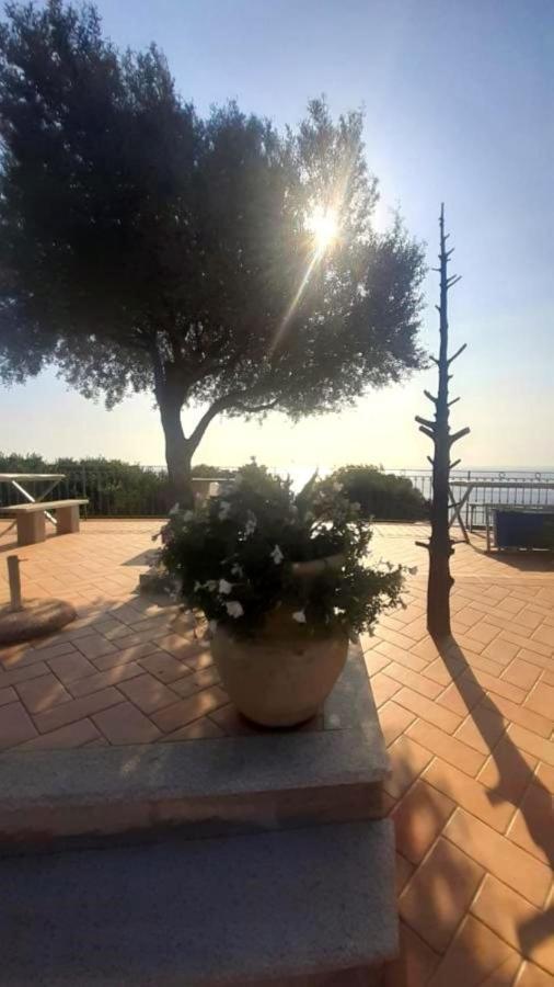 Hotel Turismo Rurale Villa Maria Caterina Кала Гононе Екстериор снимка